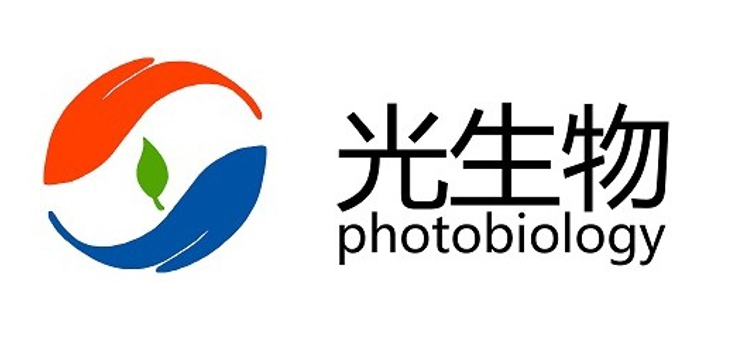 悦亮 YUELIANG